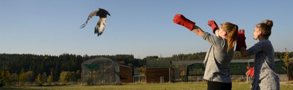 CSOP_Vlasim_web_intro01-2000×619